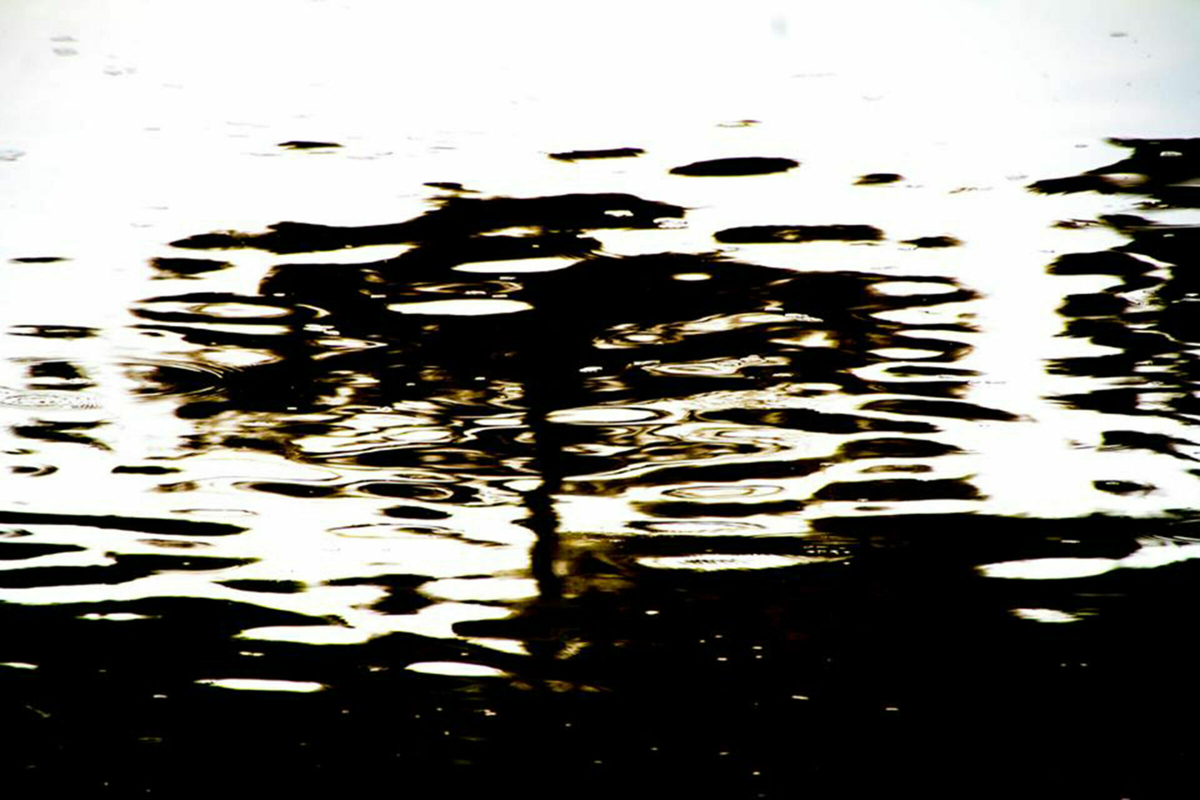 Foto de Luiz Todeschi Fine Art Productions 19