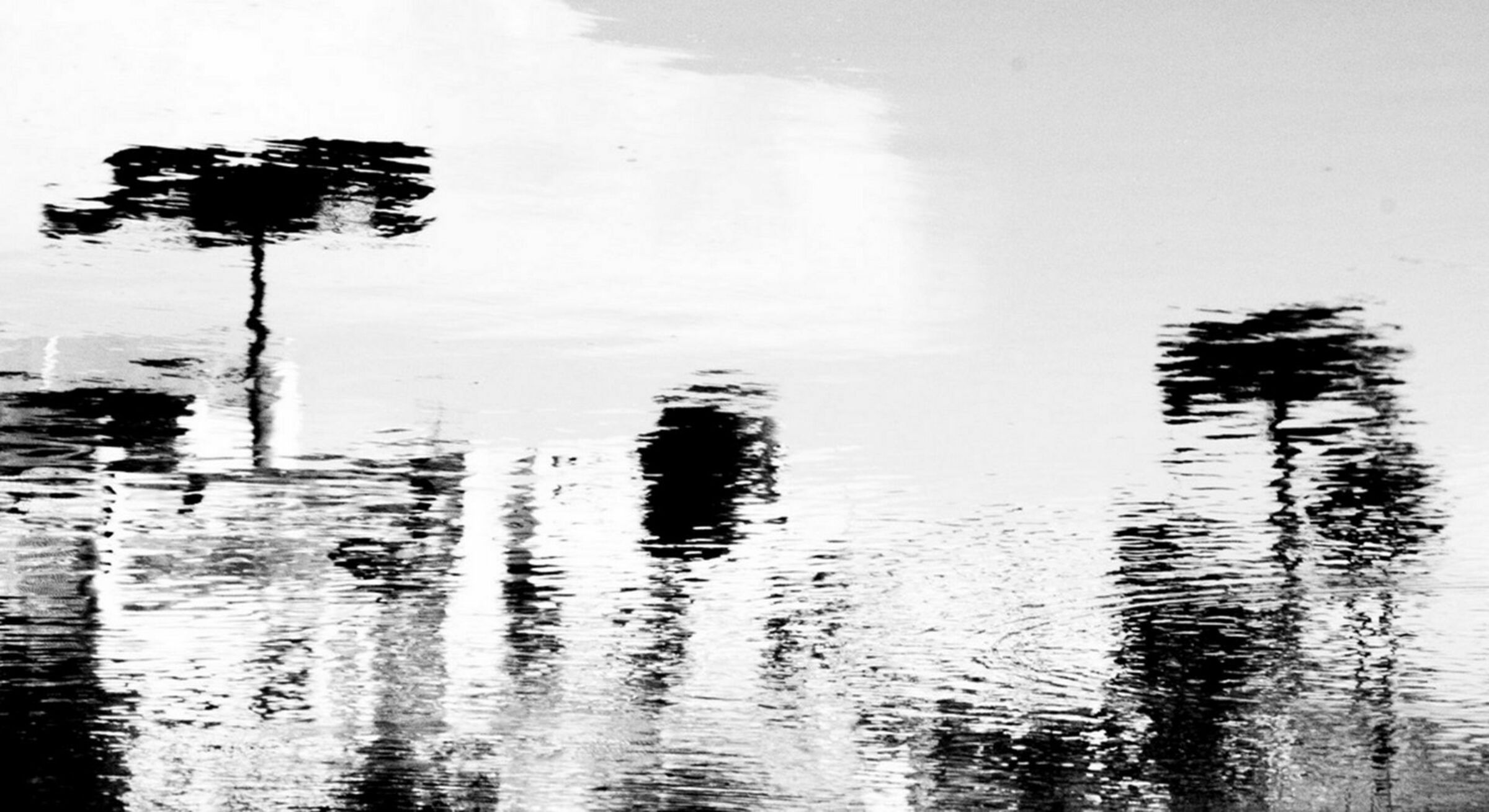 Foto de Luiz Todeschi Fine Art Productions 14