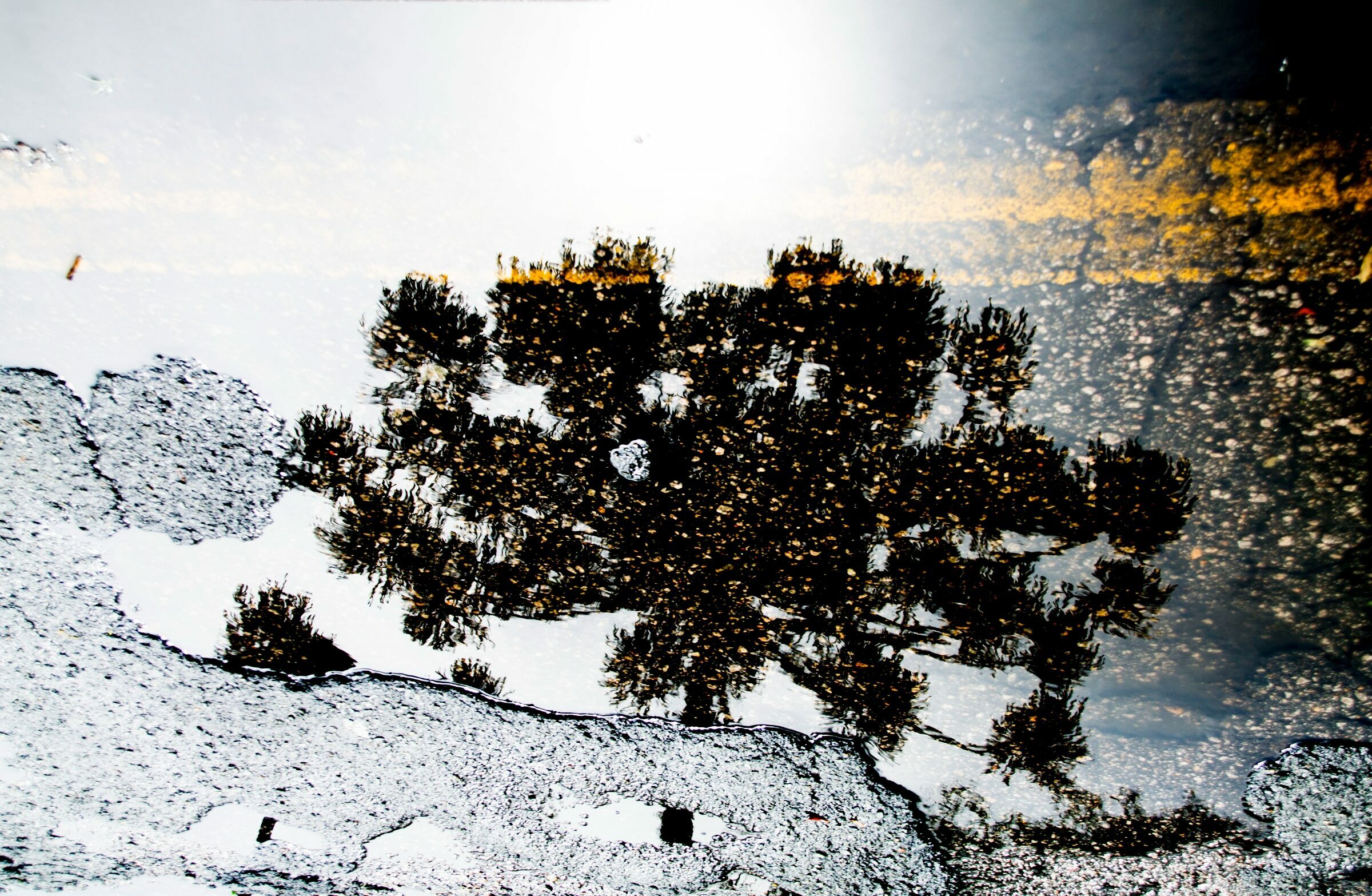 Foto de Luiz Todeschi Fine Art Productions 18