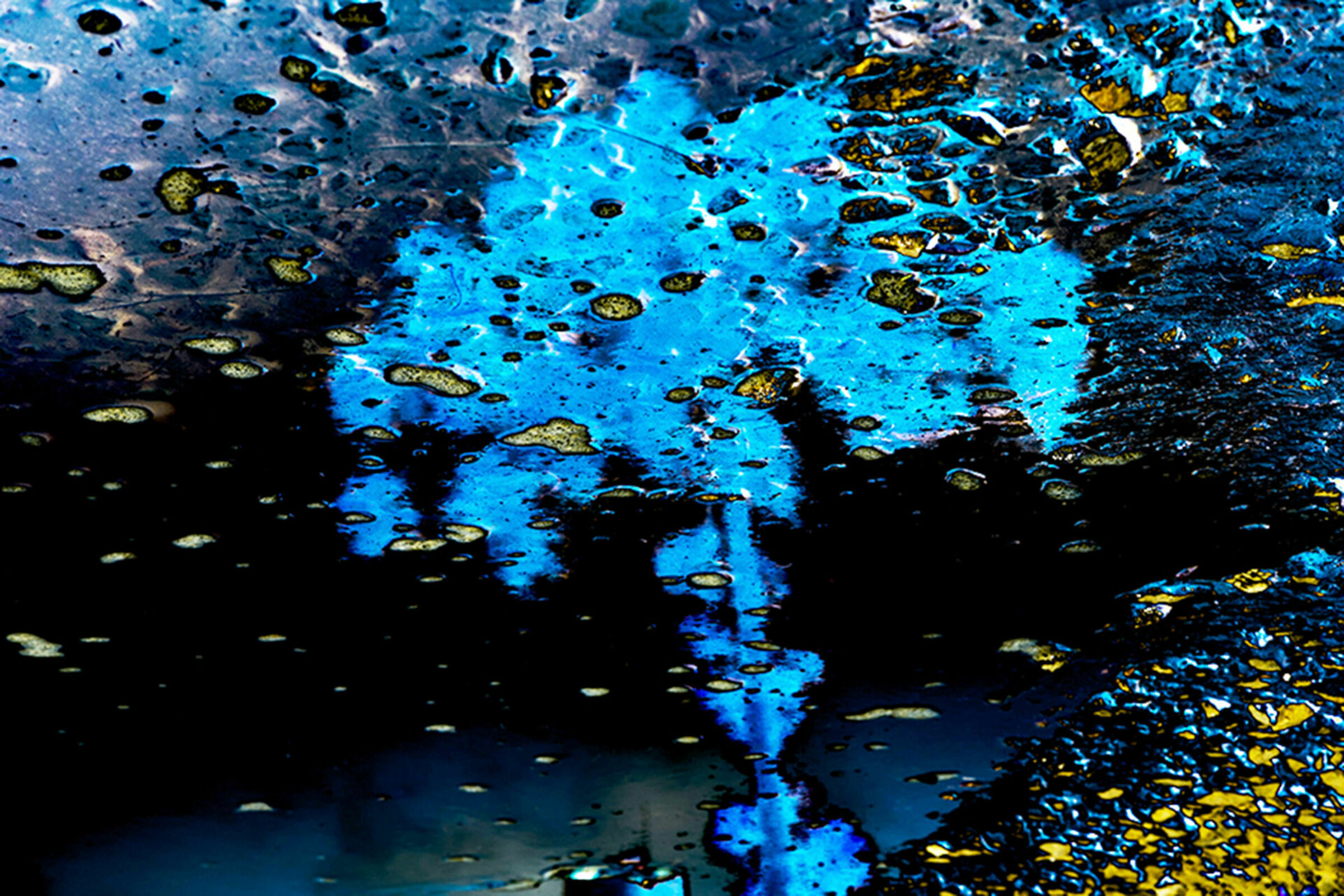 Foto de Luiz Todeschi Fine Art Productions 8