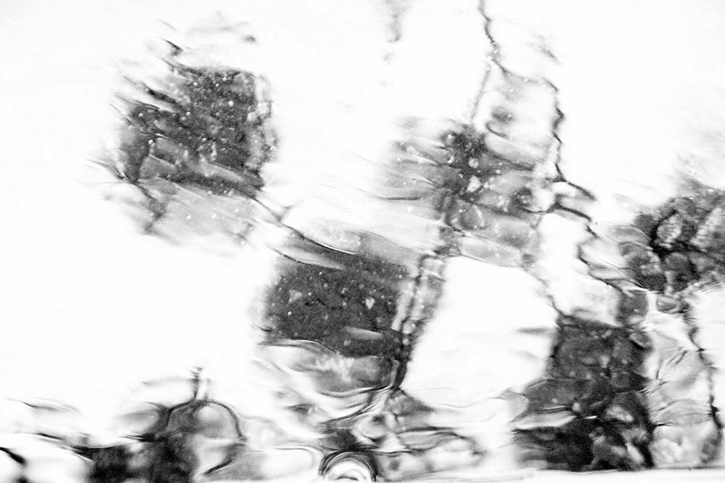 Foto de Luiz Todeschi Fine Art Productions 15