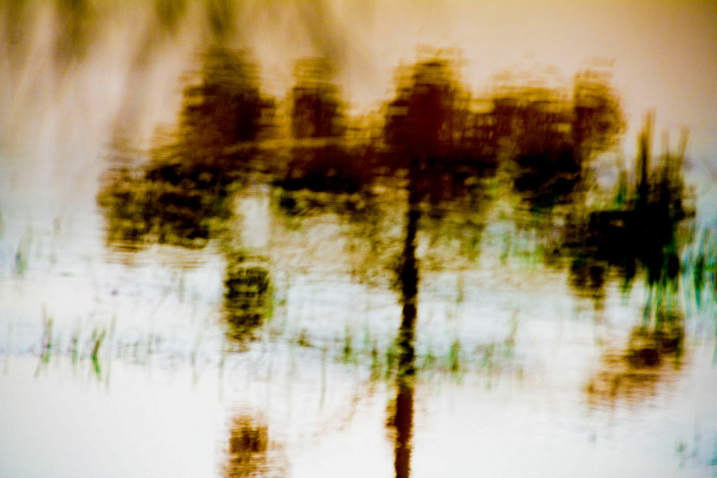 Foto de Luiz Todeschi Fine Art Productions 13