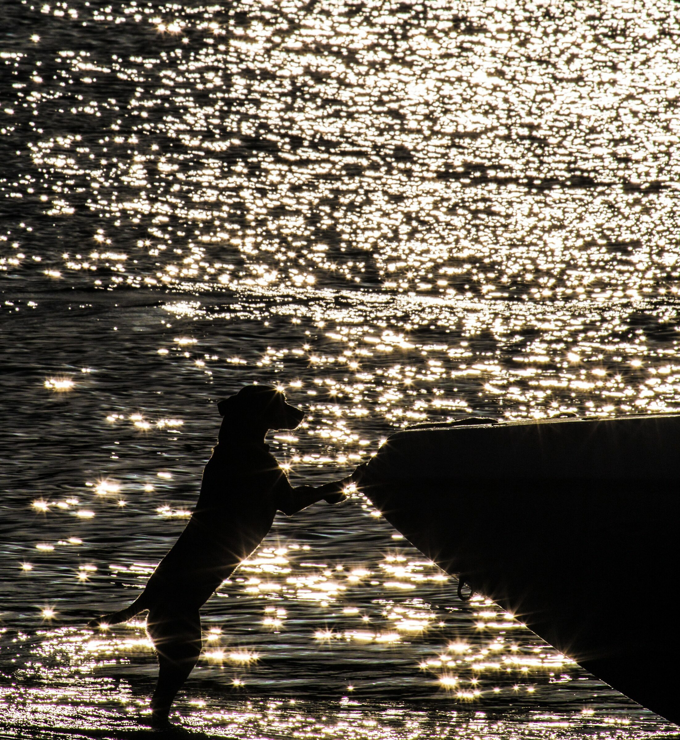 Foto de Luiz Todeschi Fine Art Productions 7