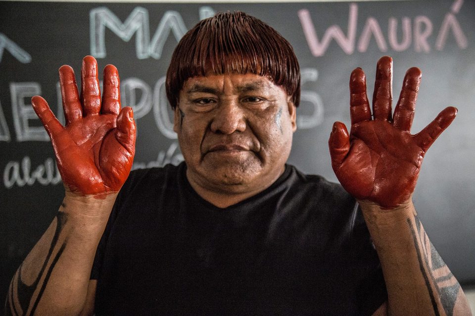 Brazilian native population