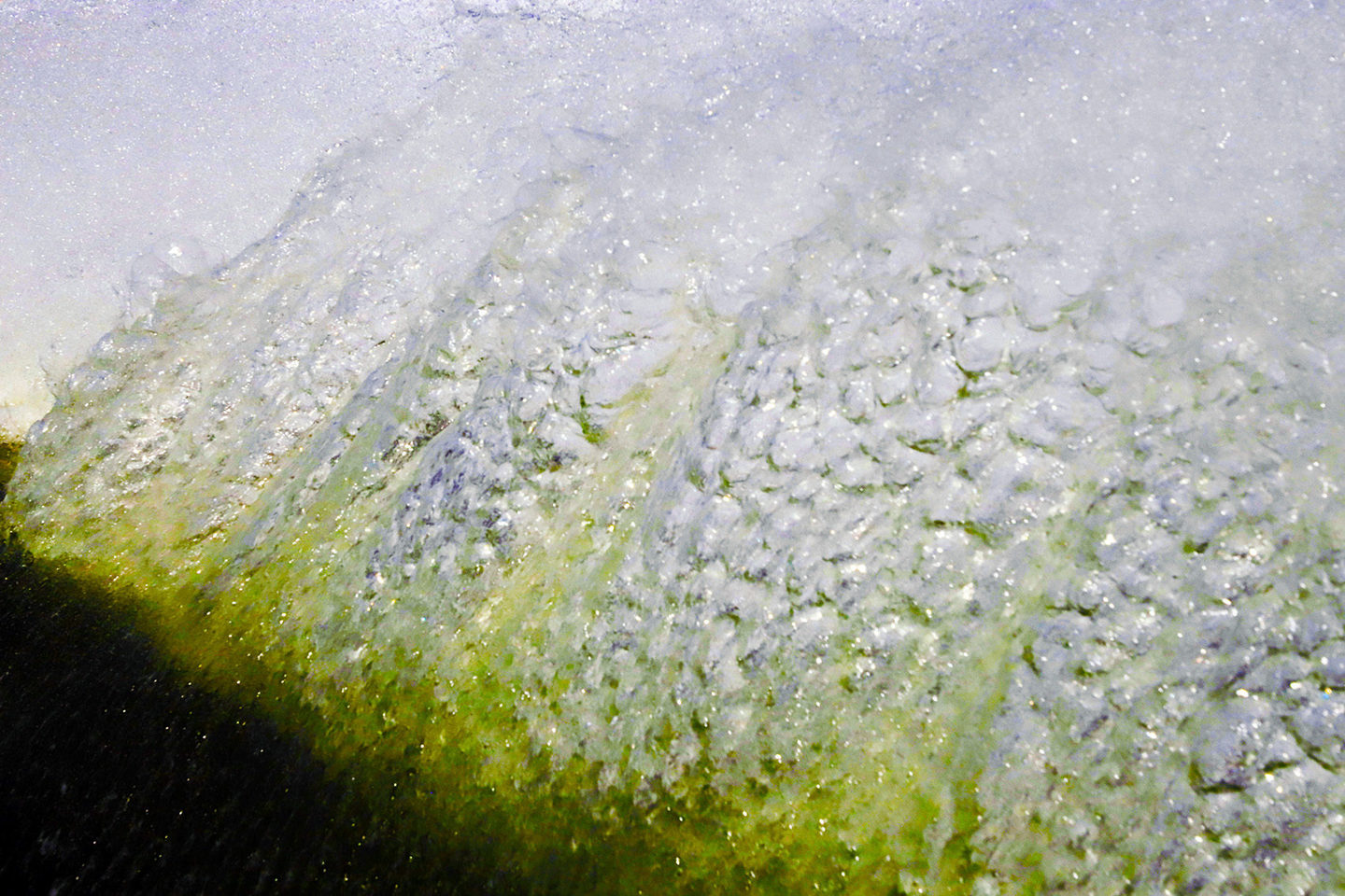 Water Life Water Life