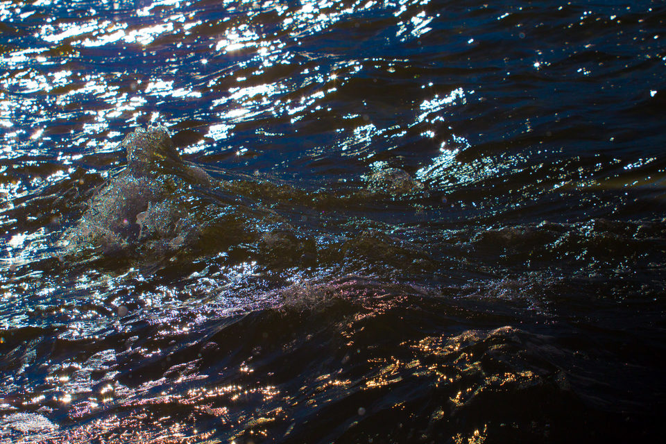 Lagoa da Conceição IV