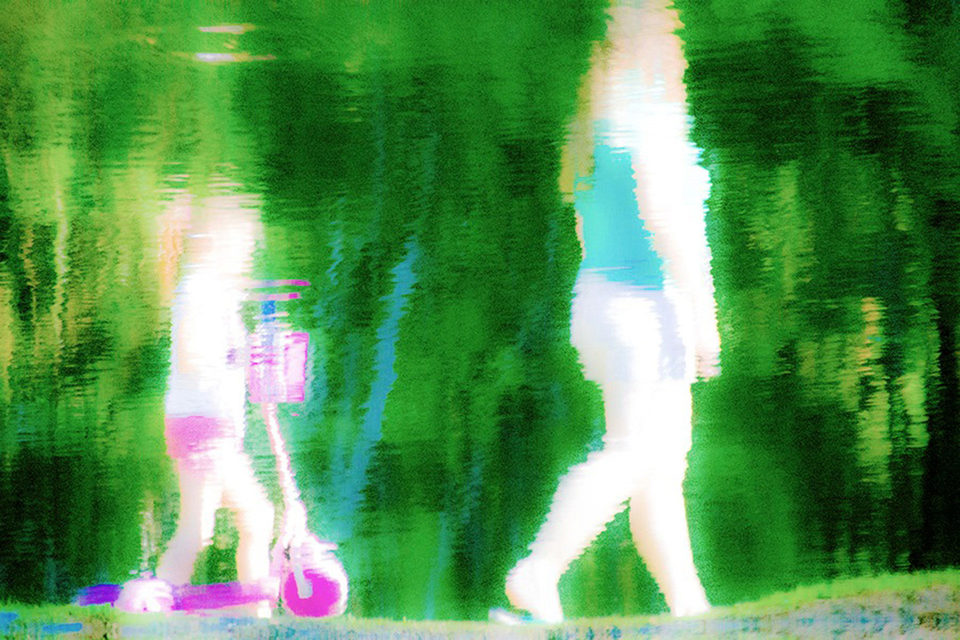 In the green waters of the parks