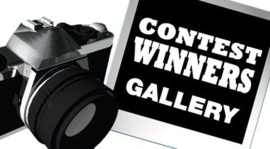 Principais Concursos Fotográficos 2018 Principais Concursos Fotográficos 2018